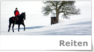 Reiten